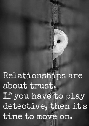 Owl, investigation, cheaters
