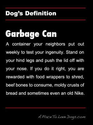 Found on aplacetolovedogs.com