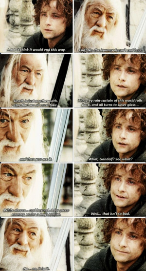 Gandalf and Pippin || The Return of the King || 