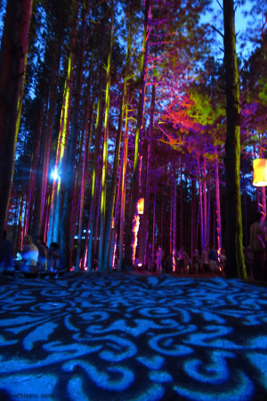 Trippy Forest Light