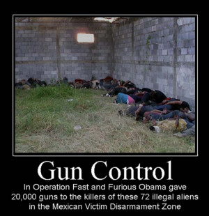 ... gun gun rights call me crazy look how well gun control worked in