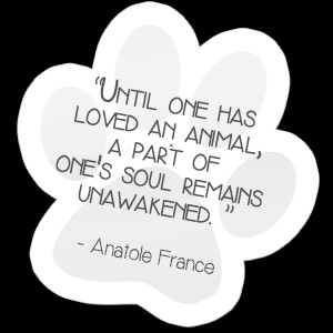 Funny Vet Tech Quotes. QuotesGram