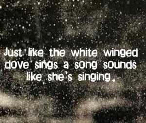Stevie Nicks - Edge of Seventeen - song lyrics, song quotes, songs ...