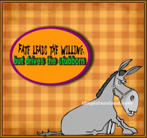 Free Cartoon Donkey With Quotes About Stubborn People