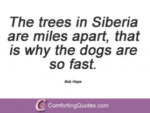Bob Hope Sayings