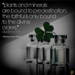 Plants and minerals are bound to predestination. The faithful is only ...