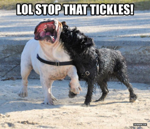 related cute pitbull dog drawing cute pitbull dog quotes cute ...