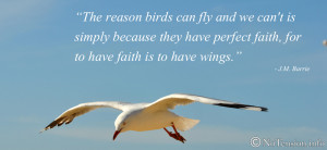 Flying Bird Quotes Why birds can fly :)