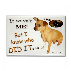 Chihuahua Gifts > Chihuahua Magnets > It Wasn't ME Funny Chihuahua ...