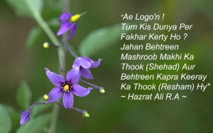 Quotes of Hazrat Ali (R.A)