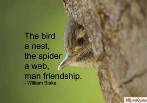 friendship quotes the bird a nest the spider a web man friendship