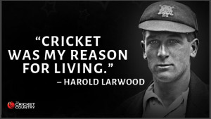 11 quotes by legends expressing their love for cricket