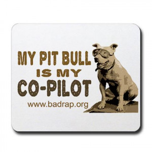 Pitbull Sayings