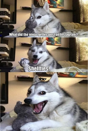 Husky dogs love lame jokes...