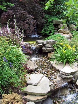 สวนน้ำตก