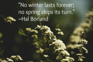 what season of your life you re in i hope these 7 quotes on spring