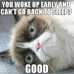 cat, grumpy cat meme, grumpy cat humor, grumpy cat quotes, grumpy cat ...