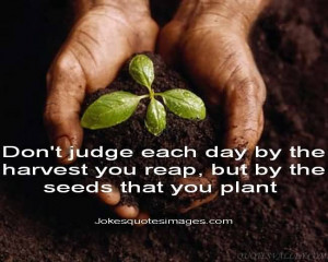 ... by the harvest you reap but by the seeds that you plant. -Wise Quote