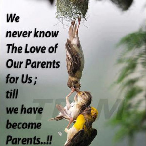 never know the love of our parents for us till we have become parents ...