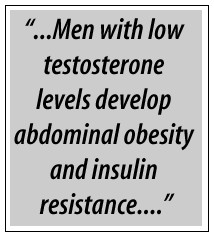 Men with low testosterone levels develop abdominal obesity and insulin ...