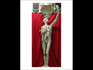 Flayed or the Skeleton the Tomb of Rene de Chalon Prince of Orange ...