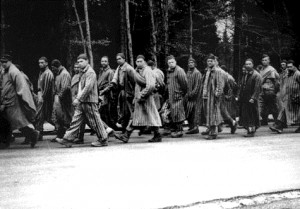 column of prisoners on a forced march from Dachau concentration camp ...