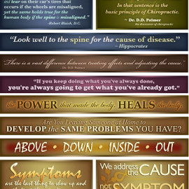 Set of 10 Decorative Chiropractic Quotes and Sayings{$150.00}