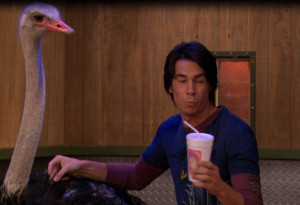 Carly: What ya got there?Spencer: Smoothie.
