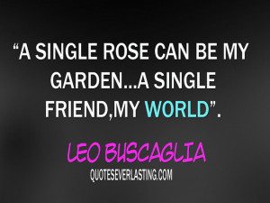 images of single rose can be my garden a friend world leo wallpaper