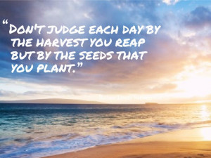 The seeds we sow today will one day grow to give us a life filled with ...