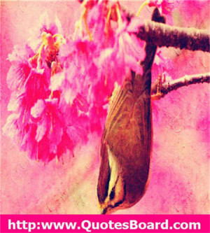 Anger and laughter are mutually exclusive and you have the power to ...