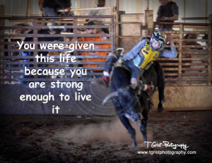 bull riding quotes and sayings