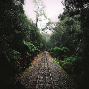 life Cool sky hipster vintage trees indie Grunge day nature travel ...