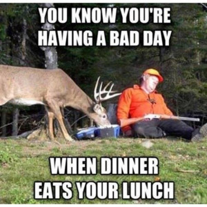 Funny animal picture of a deer eating a sleeping hunter's lunch