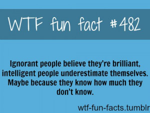 More Wtf Fun Facts Are Ing