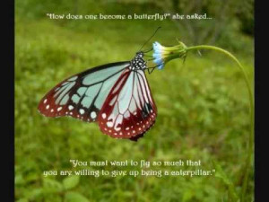 How Does One Become A Butterfly ” She Asked ” You Must Want To Fly ...