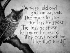 Wise Owl food for thought, smart people, quotes, wisdom, wise owl ...