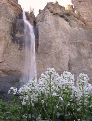 ... of inclusion and adaptability, rather than exclusion and rigidity