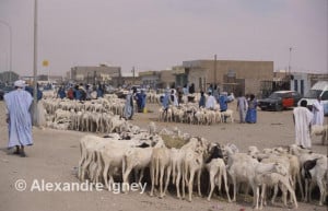 december mauritania nouakchott