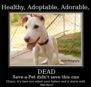 His photo was on the Columbus Animal Care & Control website as ADOPTED ...