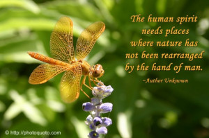 Beautiful Nature Quotes And Sayings Where nature has not been