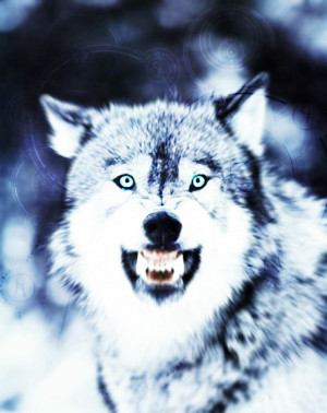 Spirit Wolf Sayings Spirit Wolf Spirit Wolf by Solidtom on Deviantart