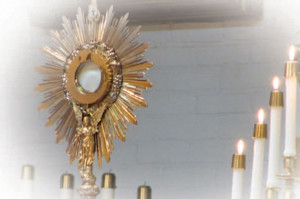 Miracle in Adoration DAN BURKEJULY 18, 2014 Photography © Carmelite ...