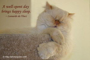 A Well-Spent Day Brings Happy Sleep