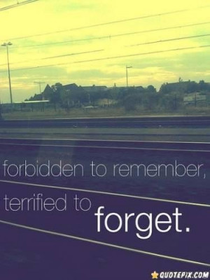 Quotes about forbidden love sayings