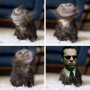Agent Smith Has Gone Too Far This Time