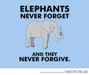 Funny Pics Funny Images Funny Quotes