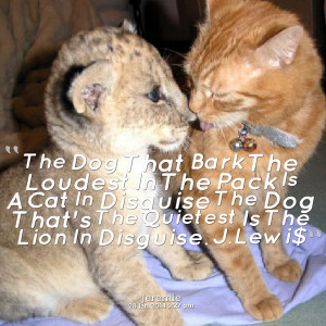 Quotes Picture: the dog that bark the loudest in the pack is a cat in ...
