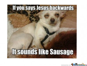 Funny Sausage Dog