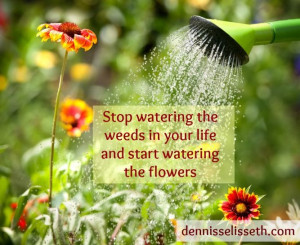 Stop watering the weeds in your life and start watering the flowers ...